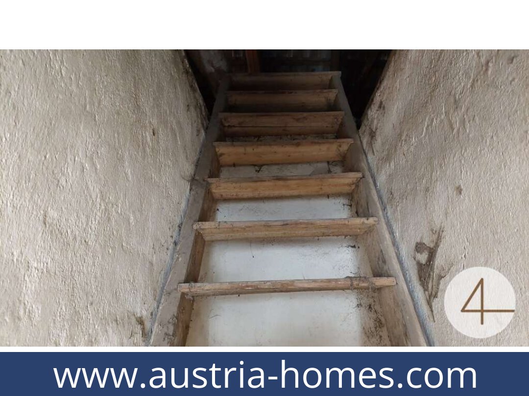 austria-homes-kirchberg am walde-3932-20250918154243-0007101023.jpg